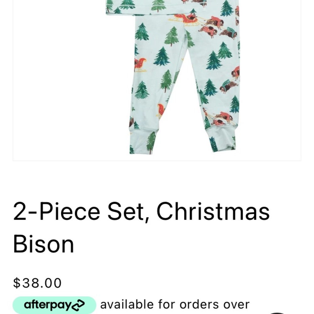 Christmas Bison Pajamas ❤️🦬💚